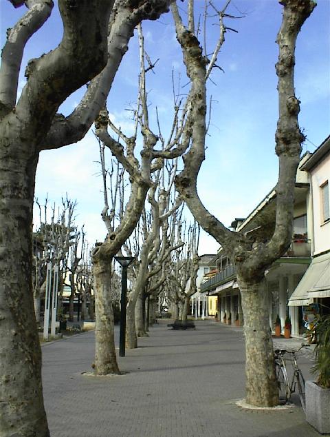 DSC00005.jpg, 67450 bytes, 04/03/01