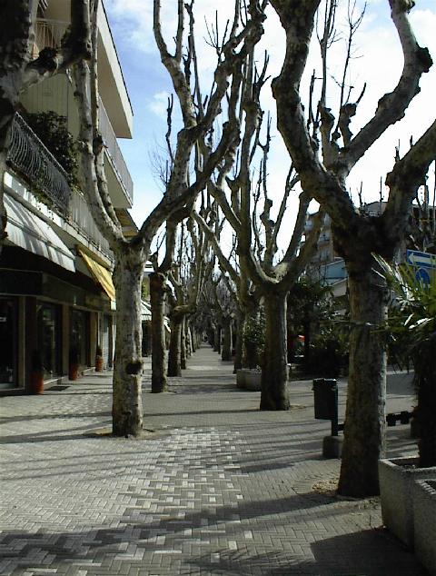 DSC00006.jpg, 76120 bytes, 04/03/01