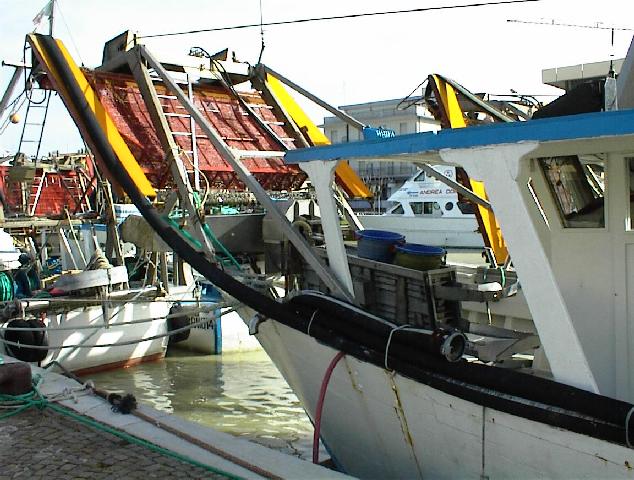 DSC00026.jpg, 71082 bytes, 04/03/01