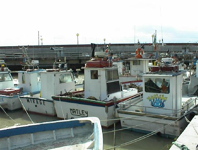 DSC00028.jpg, 54761 bytes, 04/03/01