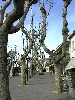 DSC00005.jpg