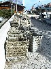 DSC00024.jpg