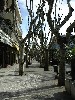 DSC00006.jpg
