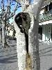 DSC00010.jpg
