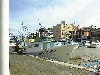 DSC00012.jpg