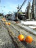 DSC00013.jpg