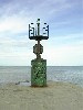 DSC00017.jpg