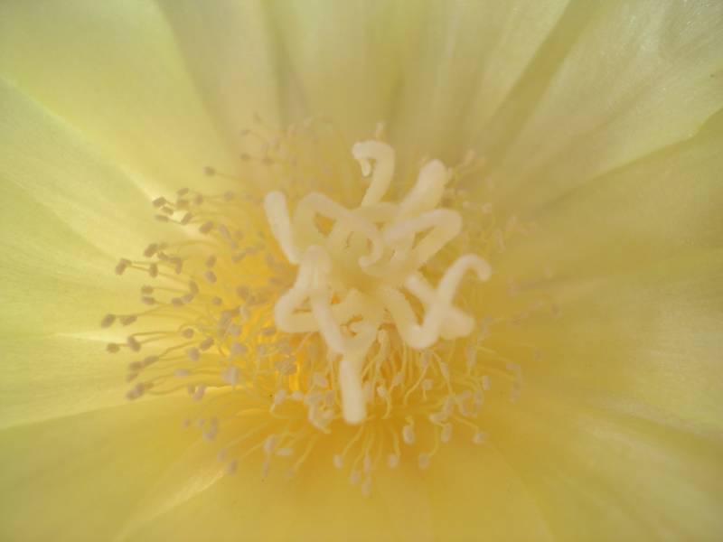 DSCN0682.JPG, 20/06/2003, 632 kB