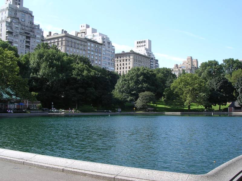 DSCN1130.jpg