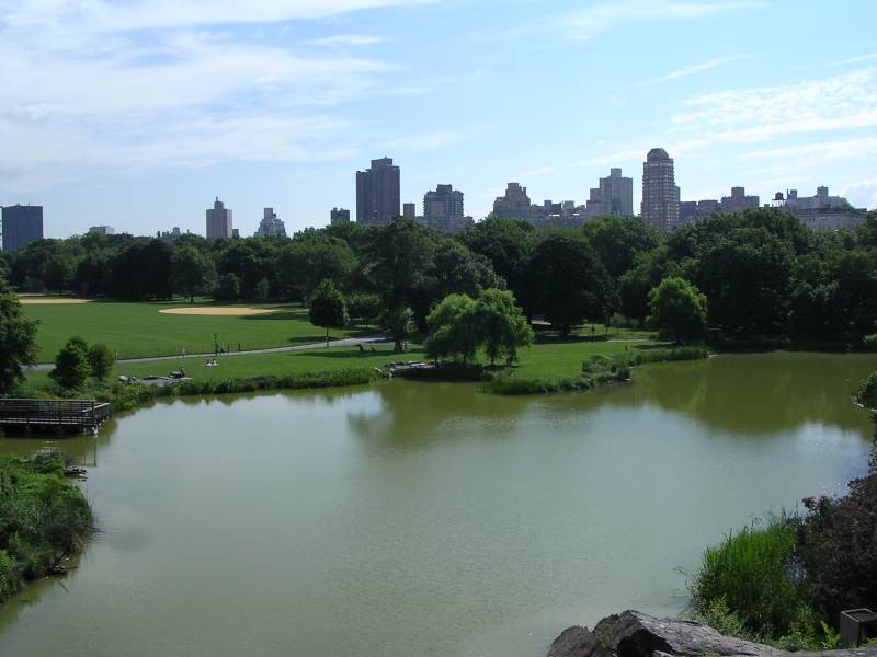 DSCN1145.jpg