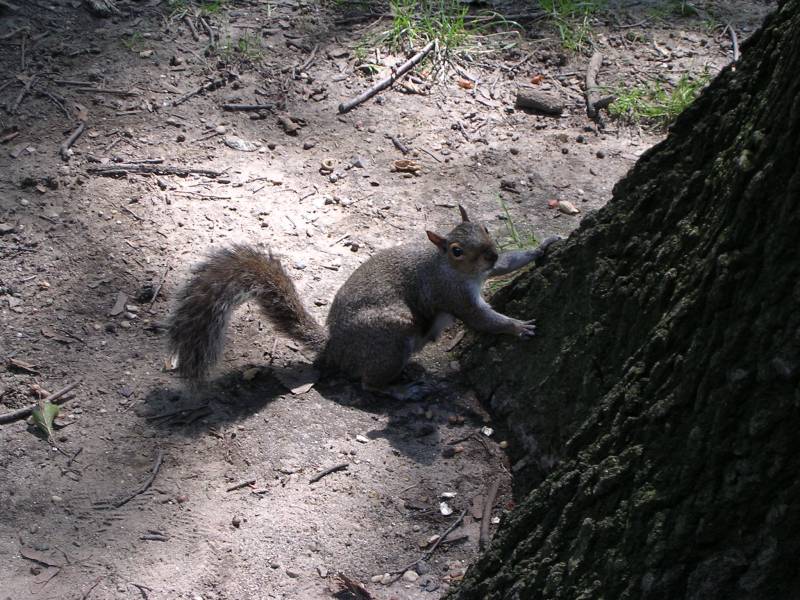 DSCN1843.jpg