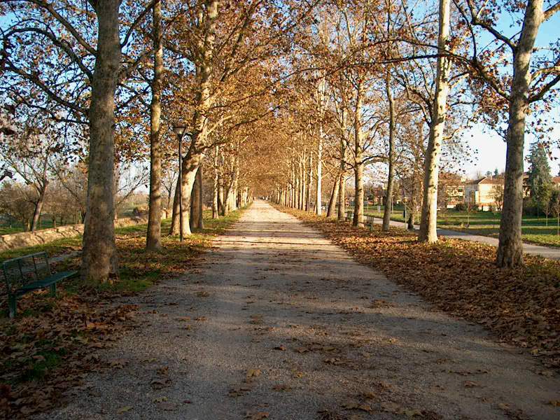 IM000040.JPG, 28/03/02, 129 kB