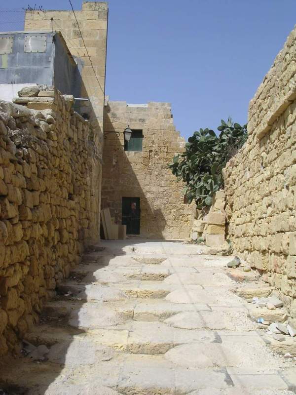 DSCN3727.JPG