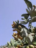 DSCN3728.JPG