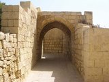DSCN3729.JPG