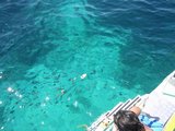 DSCN3508.JPG