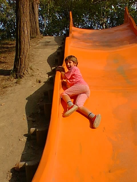 09240023.jpg, 63040 bytes, 25/09/00