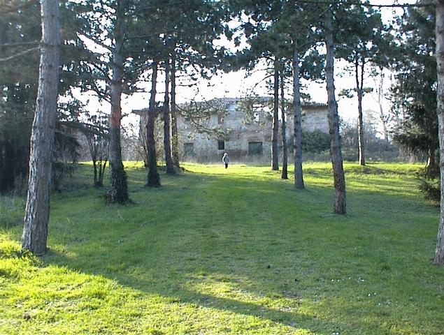 Dsc00015.jpg, 362173 bytes, 19/02/01