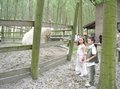 DSCN0157.jpg
