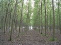 DSCN0172.jpg