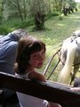 DSCN0179.jpg