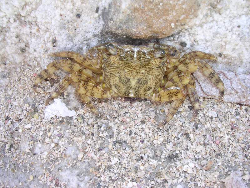 DSCN3520.JPG