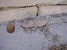 DSCN3440.JPG