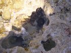 DSCN3451.JPG