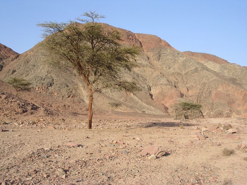 DSCN4692.JPG