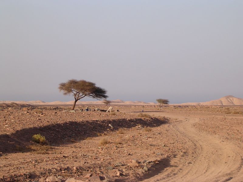 DSCN4710.JPG
