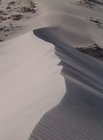 DSCN4673.JPG