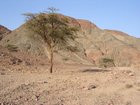 DSCN4692.JPG