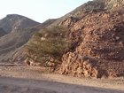 DSCN4705.JPG