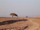 DSCN4710.JPG