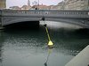 IMG_0517.JPG