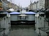 IMG_0519.JPG