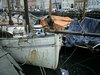 IMG_0523.JPG