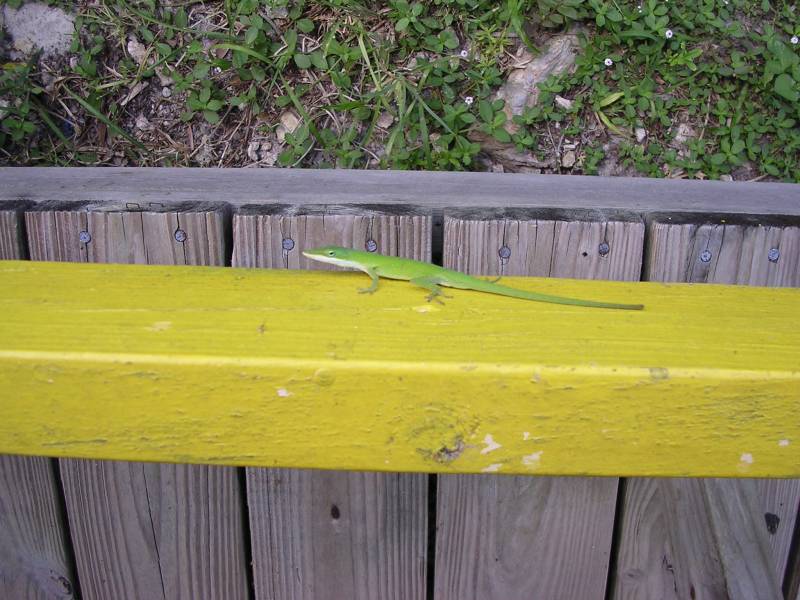 DSCN1286.jpg