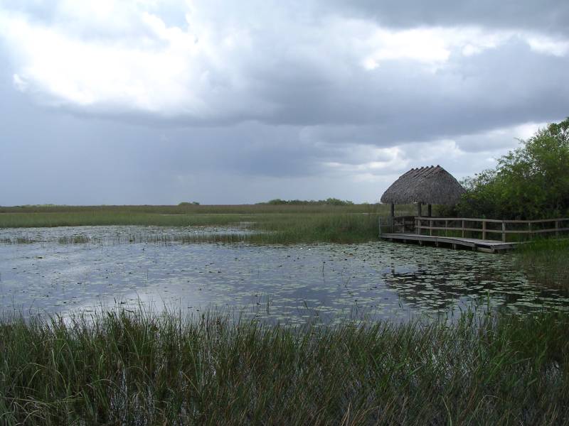 DSCN1297.jpg