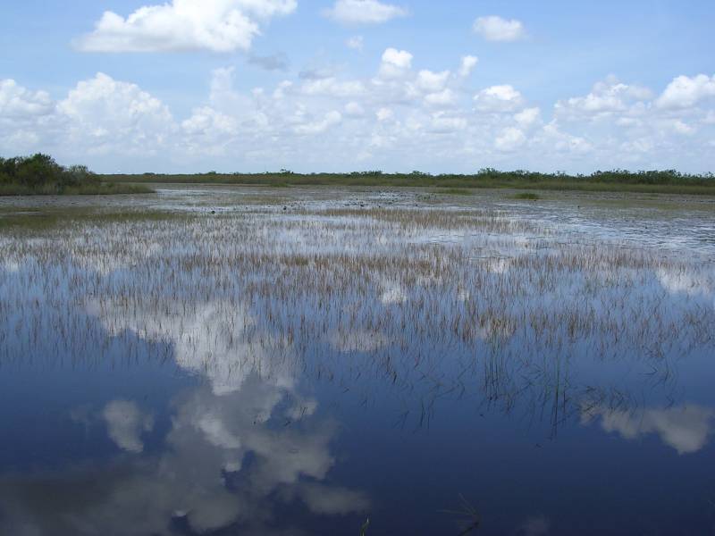 DSCN1301.jpg