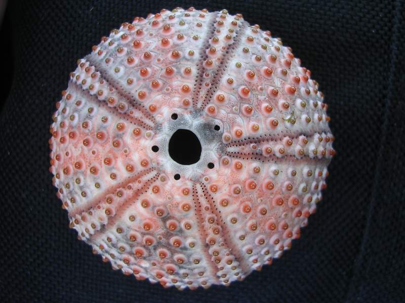 DSCN3653.JPG