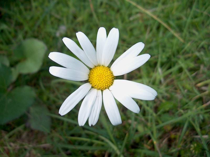 IM000871.JPG, 22/08/2001, 46 kB
