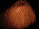 DSCN0731.JPG