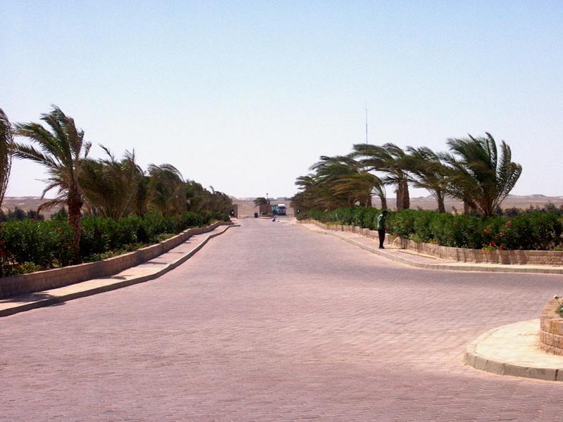 IM000376.JPG, 66028 bytes, 22/05/01