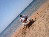 IM000596.JPG