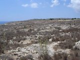 DSCN3598.JPG