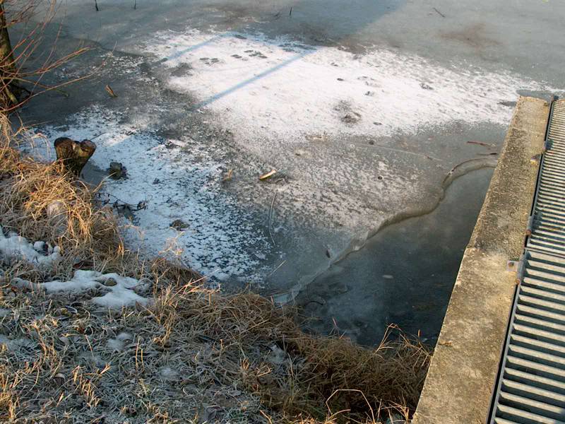 IM000268.JPG, 13/01/02, 107 kB