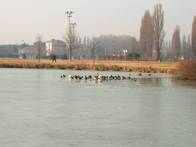 IM000285.JPG, 13/01/02, 49 kB