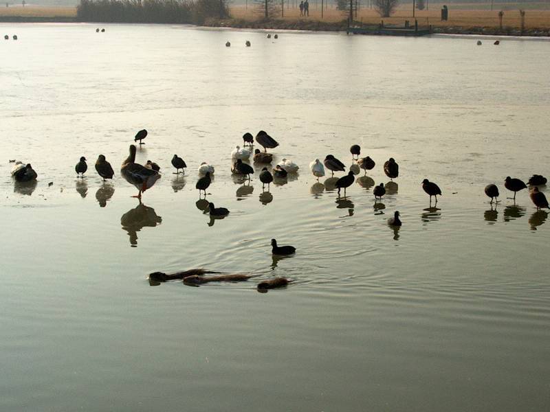 IM000295.JPG, 13/01/02, 49 kB