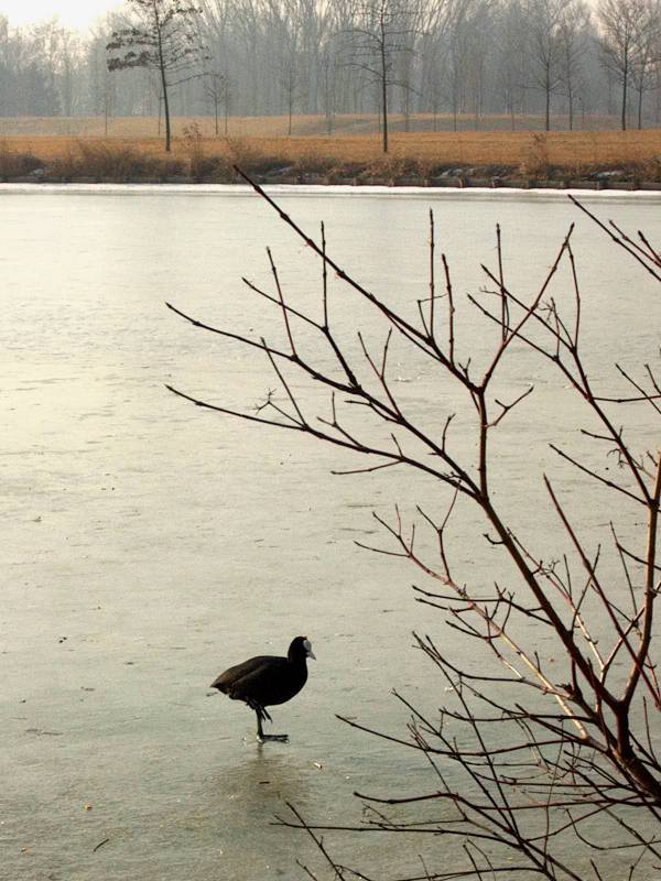 IM000298.JPG, 13/01/02, 77 kB